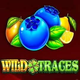 Wild Traces online slot from Amusnet Interactive – play at wildrobinn-be.com
